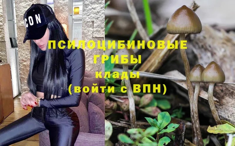 Галлюциногенные грибы Magic Shrooms  Клин 